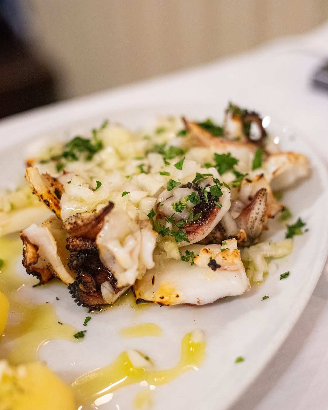 Lulas grelhadas com salsa picada e azeite, num prato branco